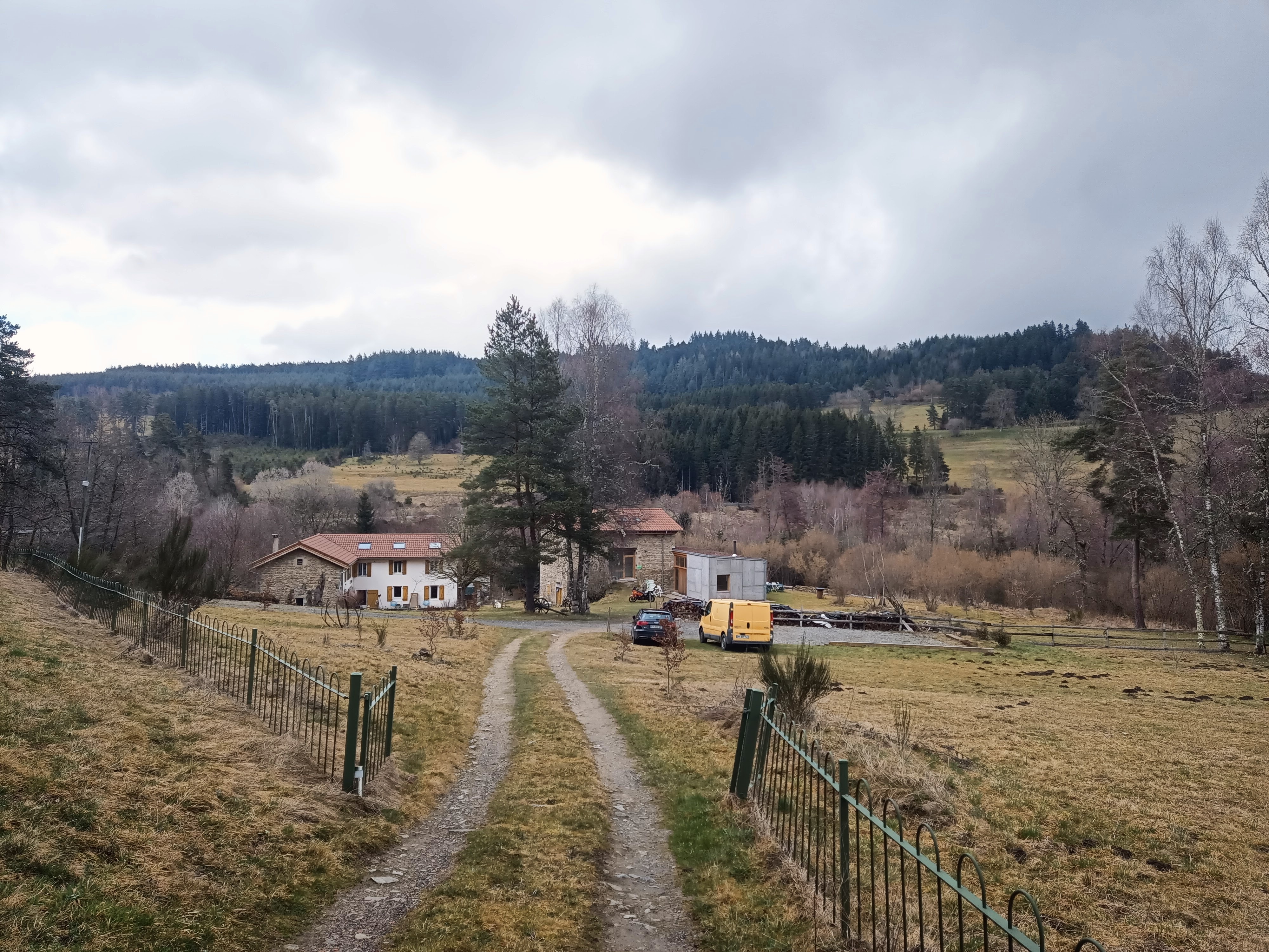 La tête au vert en hiver
